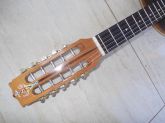 .Viola luthier em jacaranda da bahia